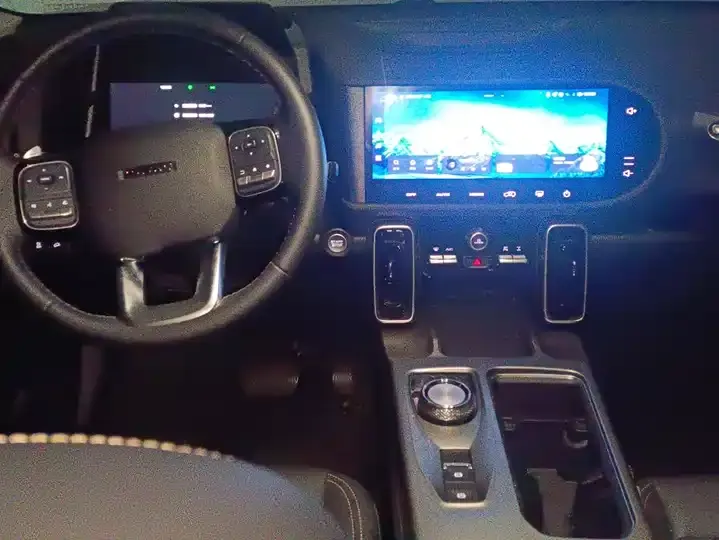 Haval Big Dog 2024 2.0T DCT Chinese Garden Dog Edition 12
