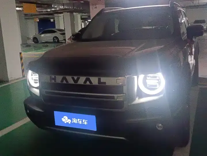 Haval Big Dog 2024 2.0T DCT Chinese Garden Dog Edition 2