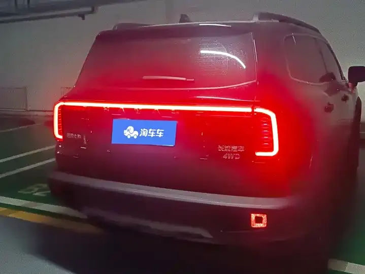 Haval Big Dog 2024 2.0T DCT Chinese Garden Dog Edition 3