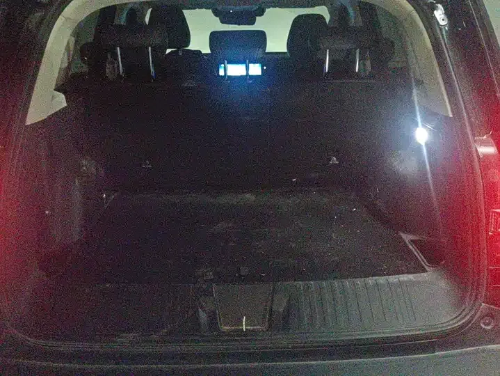 Haval Big Dog 2024 2.0T DCT Chinese Garden Dog Edition 4