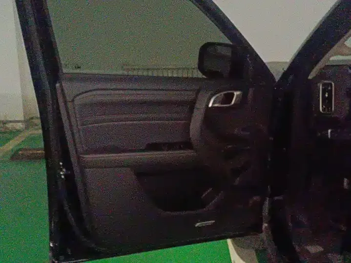 Haval Big Dog 2024 2.0T DCT Chinese Garden Dog Edition 7