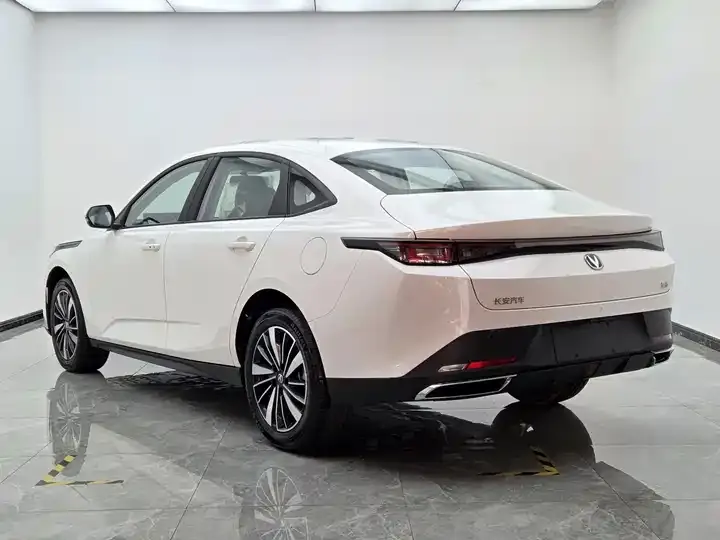 Yidong PHEV 2025 Smart New Blue Whale 145KM Battleship Edition 3