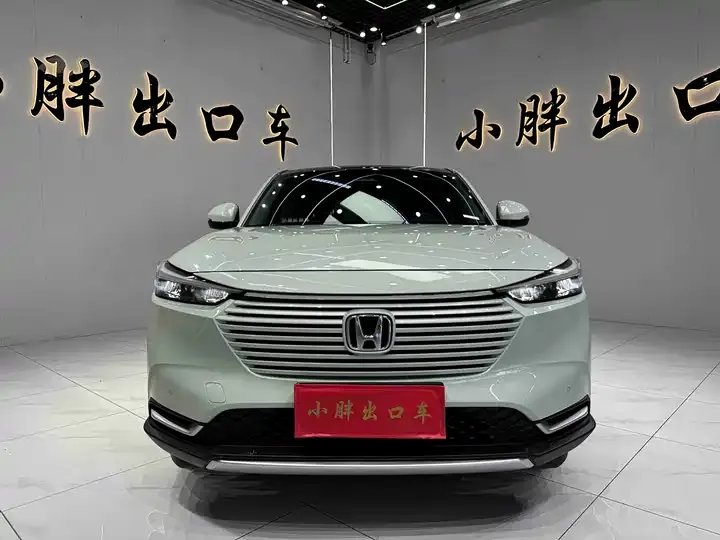 Binzhi 2023 1.5L CVT Deluxe Edition 2