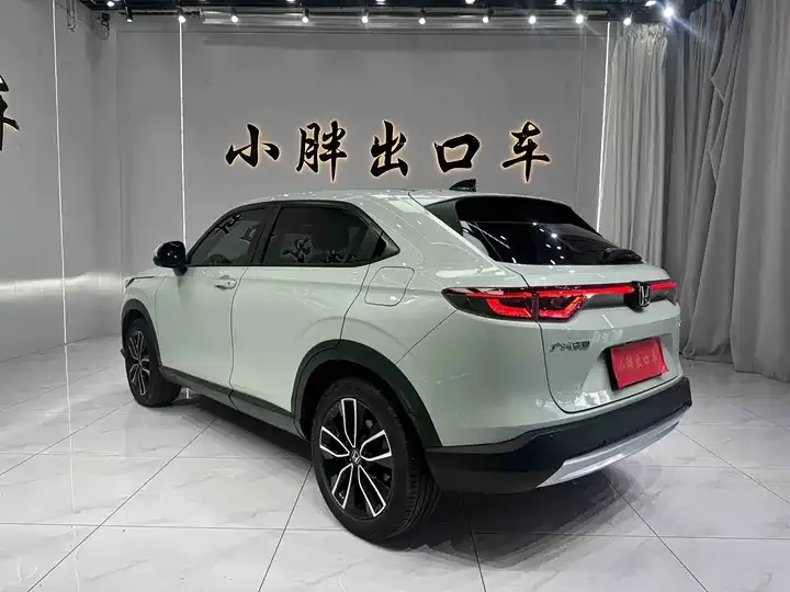 Binzhi 2023 1.5L CVT Deluxe Edition 6