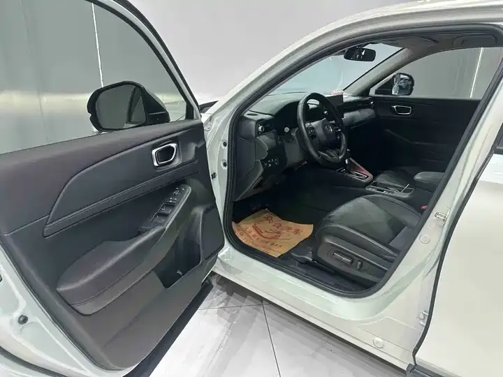 Binzhi 2023 1.5L CVT Deluxe Edition 7