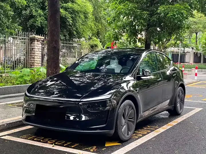 Model Y 2026 model modified long-range rear-wheel drive version - View 1