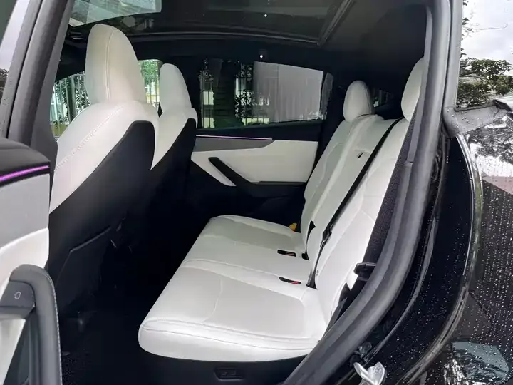 Model Y 2026 model modified long-range rear-wheel drive version 12