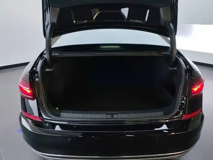 Passat 2024 330TSI Elite Edition 4