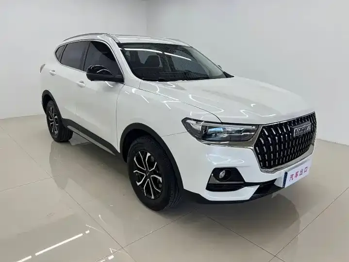 Haval H6 2023 National Tide Edition 1.5T Automatic City Edition 3