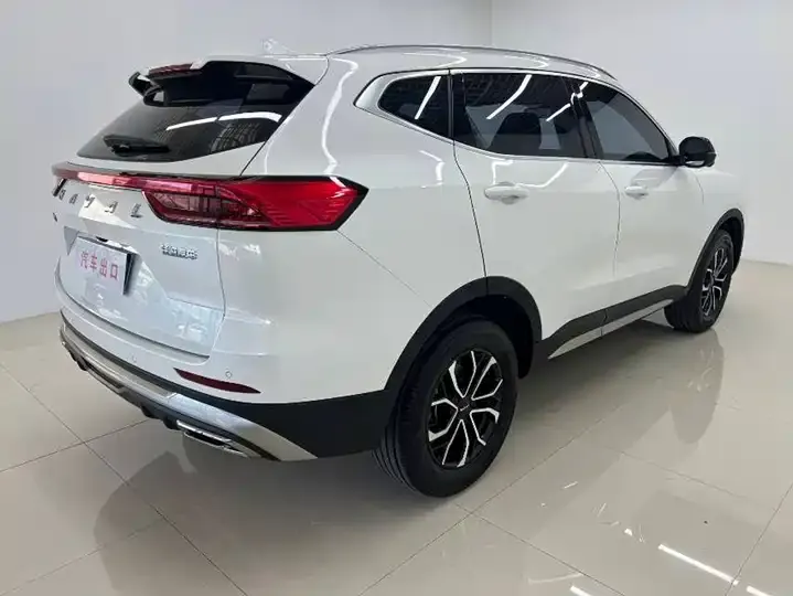 Haval H6 2023 National Tide Edition 1.5T Automatic City Edition 4