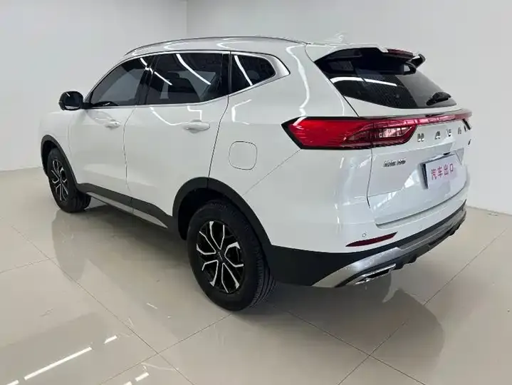 Haval H6 2023 National Tide Edition 1.5T Automatic City Edition 6