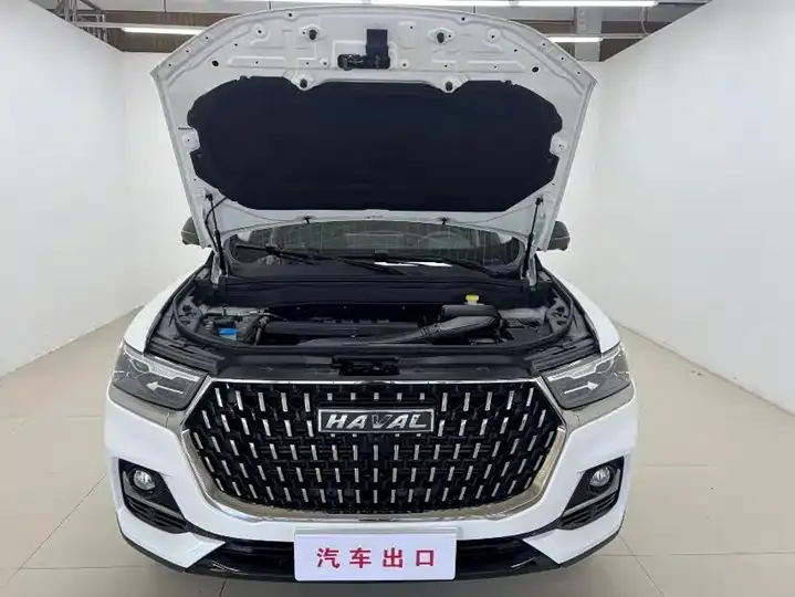 Haval H6 2023 National Tide Edition 1.5T Automatic City Edition 7