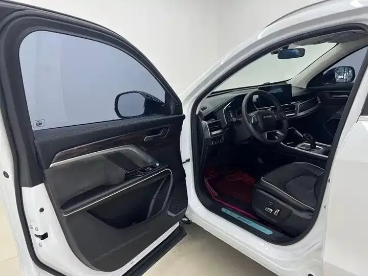 Haval H6 2023 National Tide Edition 1.5T Automatic City Edition 9