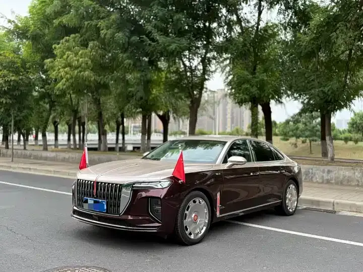 HongQi H9 2025 2.0T Two-Drive Flag Enjoy Deluxe Business Edition 5 - View 1
