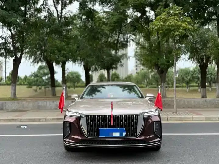 HongQi H9 2025 2.0T Two-Drive Flag Enjoy Deluxe Business Edition 5 2