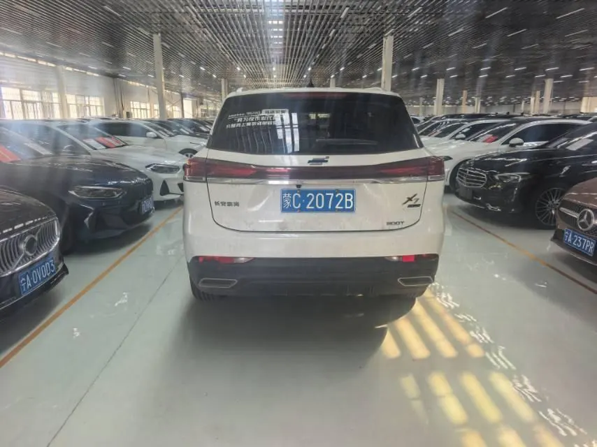 ChangAn Oshan Oshan X7 PLUS 2022 X7 PLUS 1.5T Blue Whale Honorable Automatic Gear 5