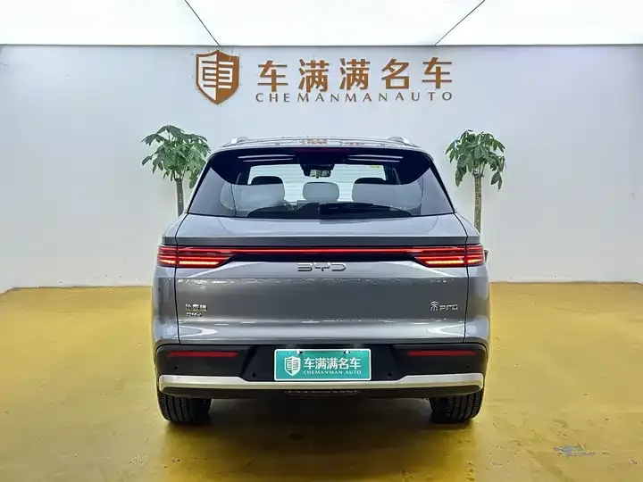 Song Pro New Energy 2026 Flying Edition DM-i 301KM Exceed 10