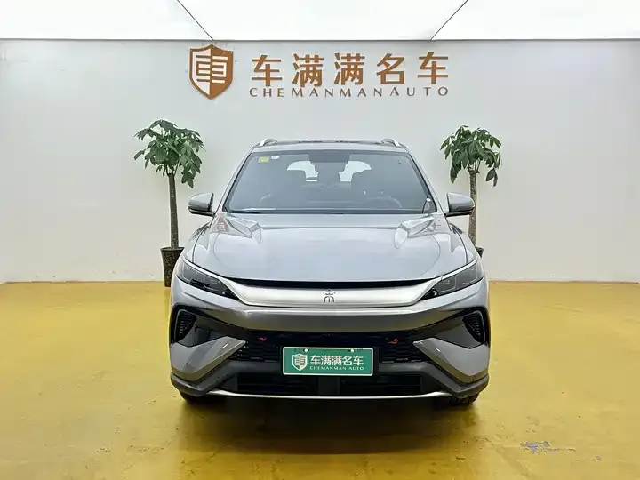 Song Pro New Energy 2026 Flying Edition DM-i 301KM Exceed 2