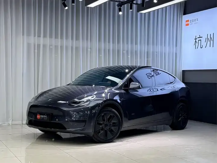 Model Y 2024 rear-wheel drive version - View 1
