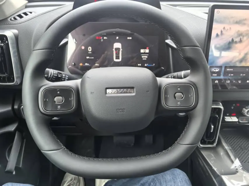 Haval 2026 model Big Dog 1.5T Border Collie Edition Automatic Transmission 11