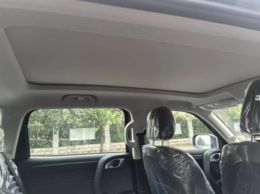 Haval 2026 model Big Dog 1.5T Border Collie Edition Automatic Transmission 9