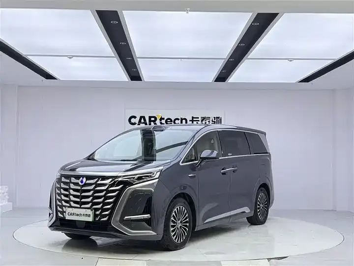 Denza D9 2025 DM-i Smart Driving Edition 1020 Four-wheel Drive Flagship - View 1