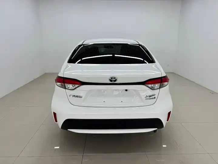 Lei Ling 2022 Double Engine 1.8H E-CVT Leading Edition 5