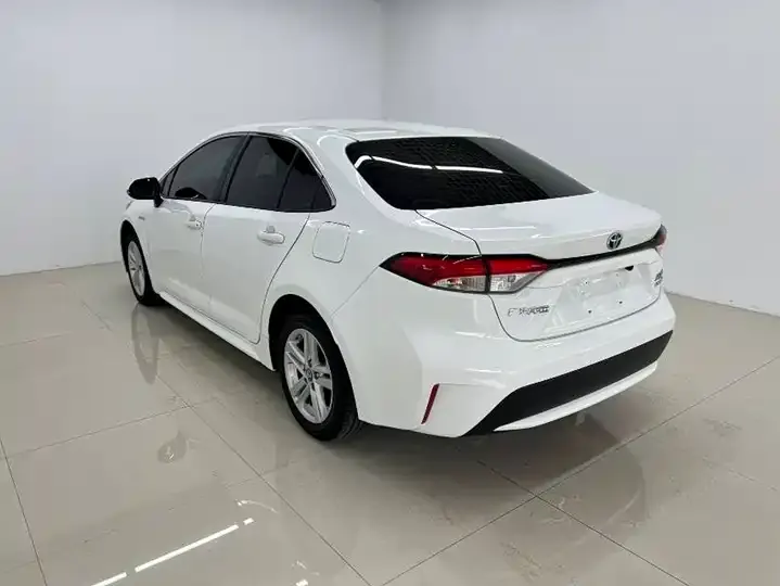 Lei Ling 2022 Double Engine 1.8H E-CVT Leading Edition 6