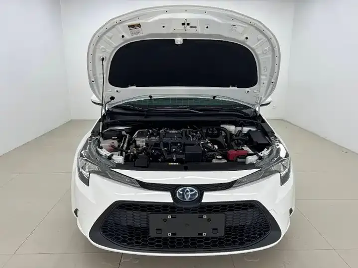 Lei Ling 2022 Double Engine 1.8H E-CVT Leading Edition 7
