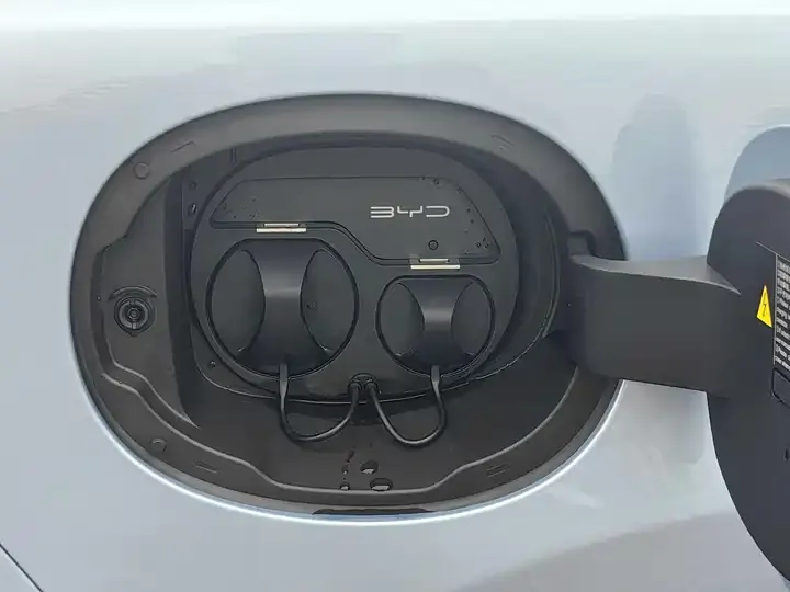 Seal 2022 550km Standard Endurance Rear Drive Premium Model 10