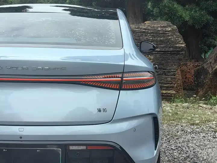 Seal 2022 550km Standard Endurance Rear Drive Premium Model 6