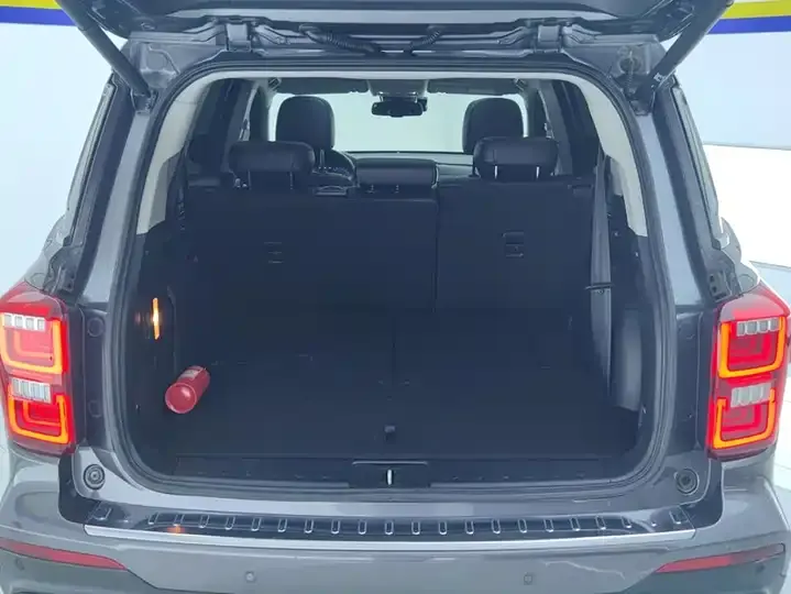Chuanqi GS8 2020 390T Two-Drive Premium Edition (Seven Seat) 4