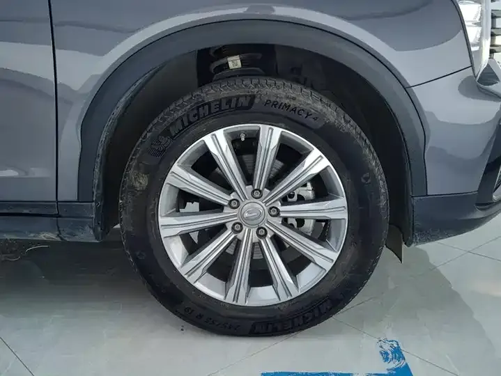 Chuanqi GS8 2020 390T Two-Drive Premium Edition (Seven Seat) 6