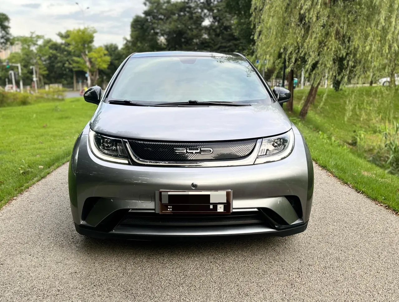 BYD 2021 Dolphin 405km Fashion Edition Automatic 2