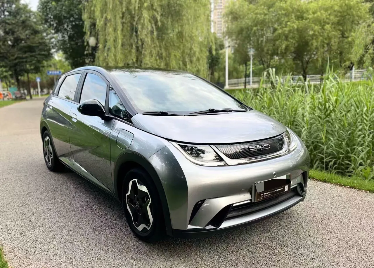 BYD 2021 Dolphin 405km Fashion Edition Automatic 3