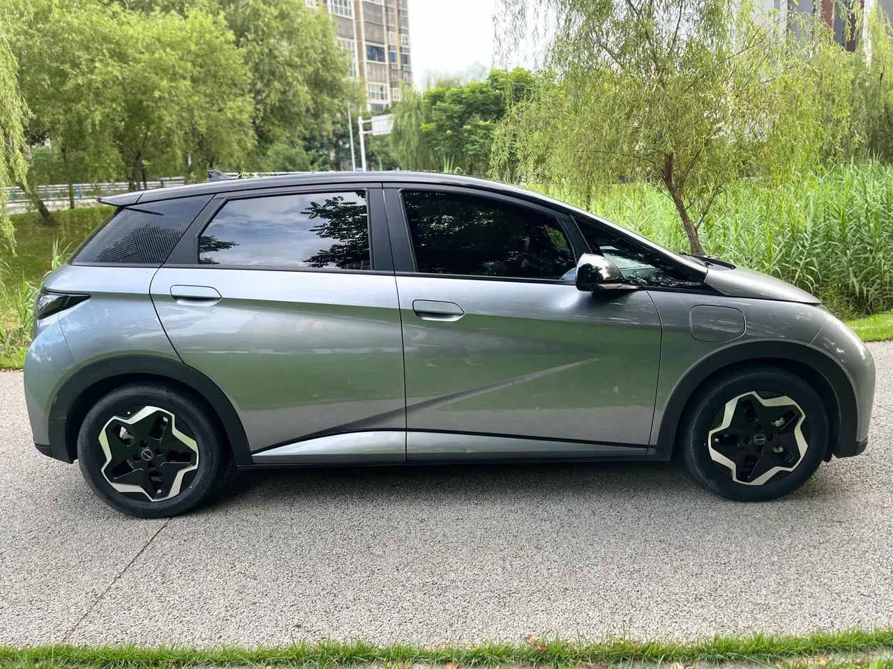 BYD 2021 Dolphin 405km Fashion Edition Automatic 4