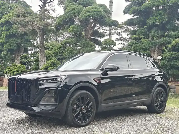 HongQi HS5 2025 2.0T Two-Drive Xuan Ying Edition - View 1