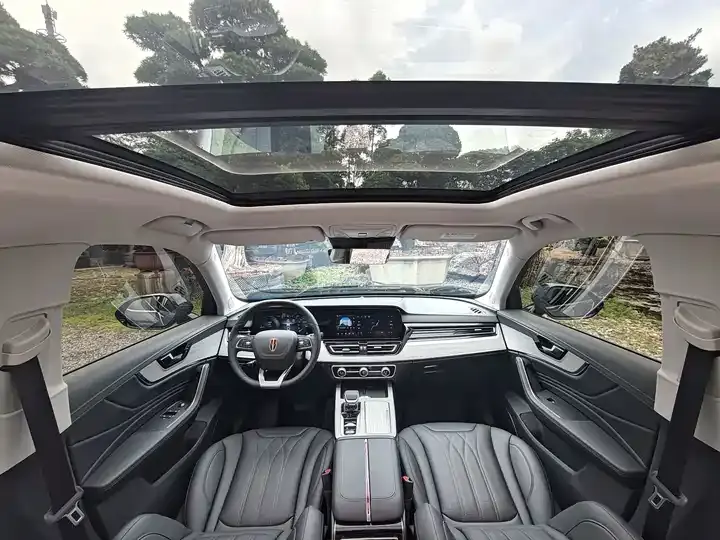 HongQi HS5 2025 2.0T Two-Drive Xuan Ying Edition 12