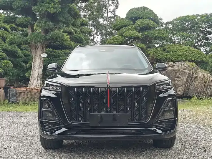 HongQi HS5 2025 2.0T Two-Drive Xuan Ying Edition 2