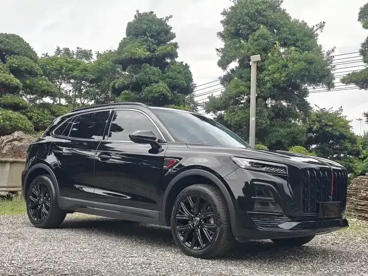 HongQi HS5 2025 2.0T Two-Drive Xuan Ying Edition 3
