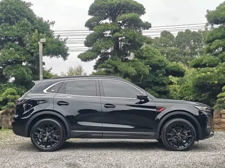 HongQi HS5 2025 2.0T Two-Drive Xuan Ying Edition 4