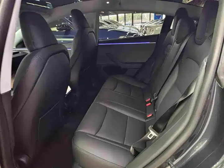 Model 3 2023 rear-wheel drive version 10