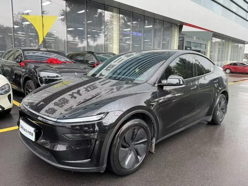 Tesla 2025 Model Y long endurance all-wheel drive version automatic transmission - View 1