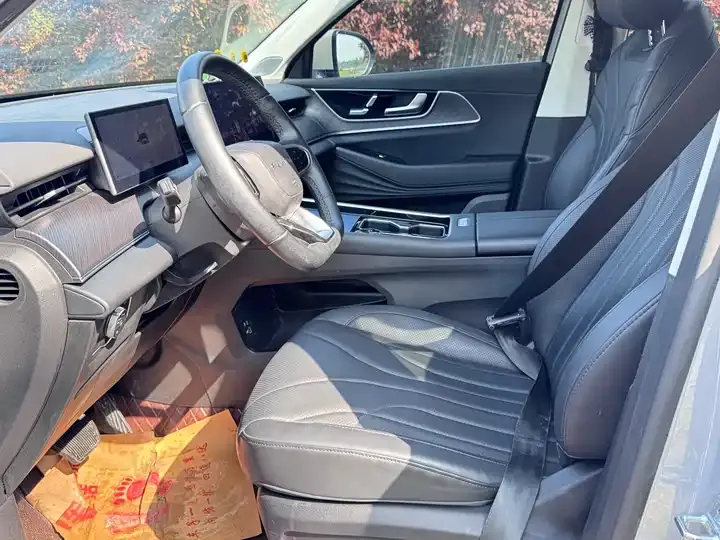 Fengyun T9 2024 120 Long Life Edition Standard 5-seat Ternary Lithium 4