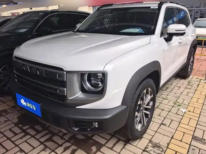 Haval Big Dog 2024 1.5T DCT Border Animal Husbandry Edition - View 1