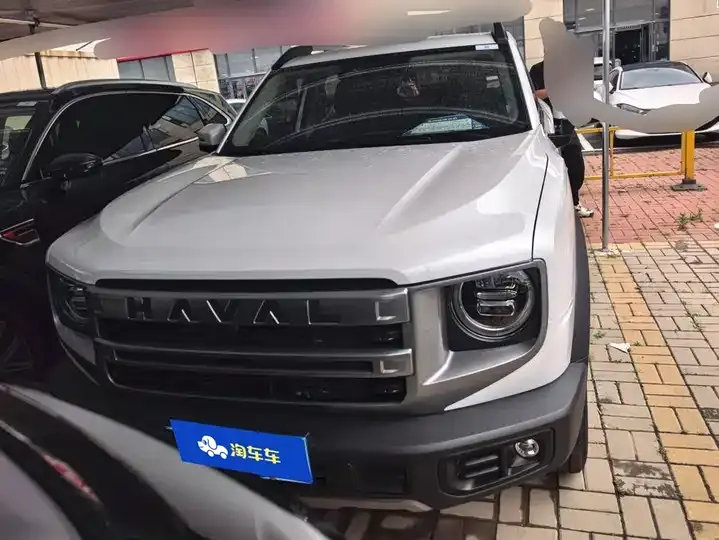 Haval Big Dog 2024 1.5T DCT Border Animal Husbandry Edition 2