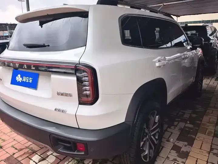 Haval Big Dog 2024 1.5T DCT Border Animal Husbandry Edition 3
