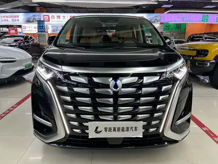 Denza D9 2024 DM-i 980 four-wheel drive flagship 2