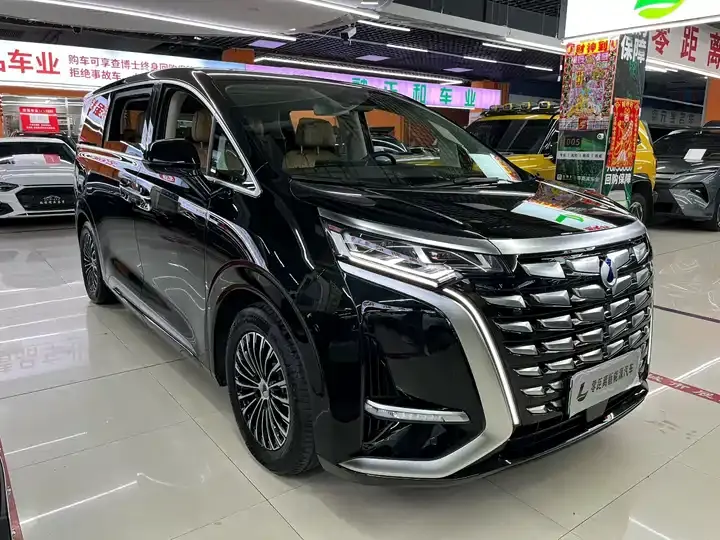 Denza D9 2024 DM-i 980 four-wheel drive flagship 3