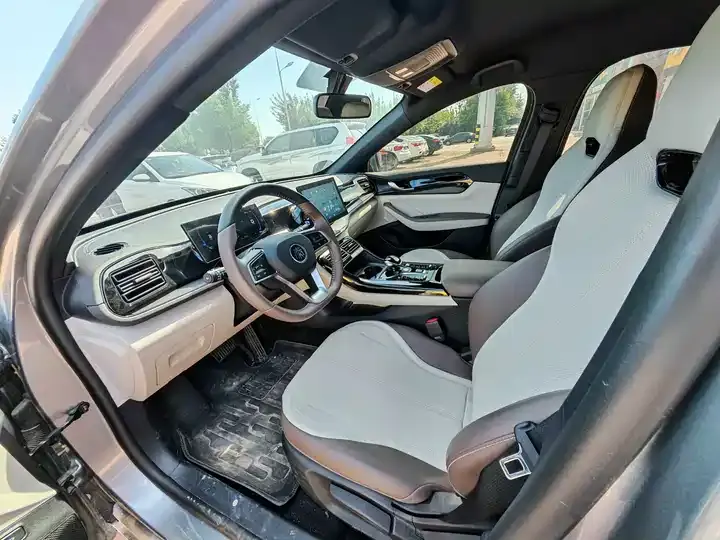 2024 Qin PLUS Glory Edition DM-i 55km Leading Model 5